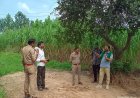 झालू में नहर किनारे पेड़ काटकर ले जाने का प्रयास, भाकियू ने की कार्रवाई की मांग