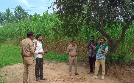 झालू में नहर किनारे पेड़ काटकर ले जाने का प्रयास, भाकियू ने की कार्रवाई की मांग