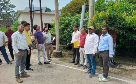 झालू और जंगल क्षेत्र की बिजली आपूर्ति हुई अलग, विद्युत केंद्र का निरीक्षण