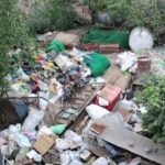 1003753300-0.jpg